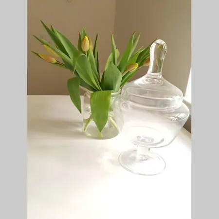 Old Town Baltic Antique Lai Street Privat Entrance Apartman Tallinn